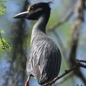 Meet your Posher, Karen